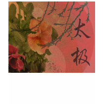 Tai Chi - Customized t-shirts