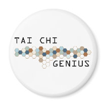 Tai Chi Genius magnets