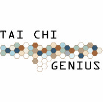 Tai Chi Genius photo sculptures