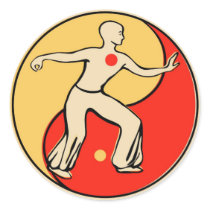 Tai Chi sticker stickers