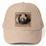 TAI SHAN hats