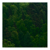 Taiga 2 posters