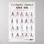 Taikyoku Shodan - First Kata posters