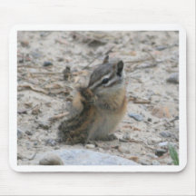 Tail Chipmunk Mouse Pads
