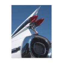 Tail Fin Post Card