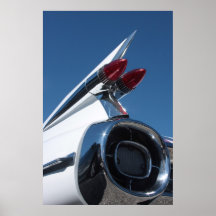 Tail Fin Print