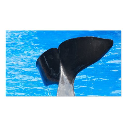 Tail of a Whale Business Cards (back side)
