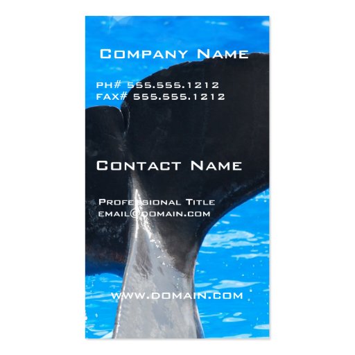 Tail of a Whale Business Cards