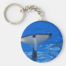 Tail of a Whale Keychain