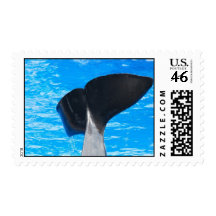 Tail of a Whale Postage Stamp