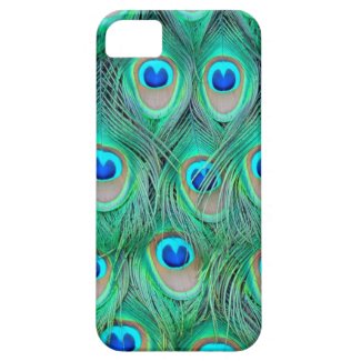 Tail Peacock iPhone 5 Cover