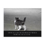 Tail Up (Kitten) Postcard