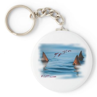 Tailin Key Chain