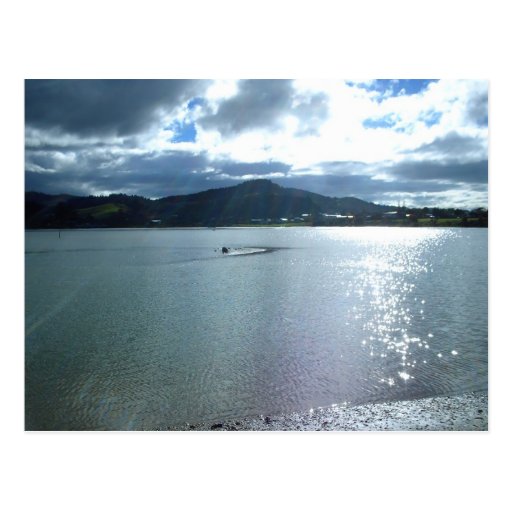 Tairua Harbor Late Afternoon 2010 Postcard