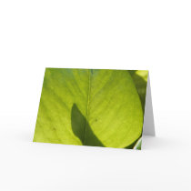 Taiwan Flora Leaf cards
