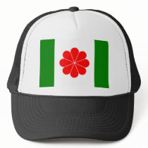 Taiwan Independence Flag (1996) hats