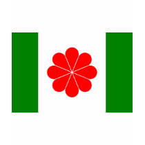 Taiwan Independence Flag (1996) t-shirts