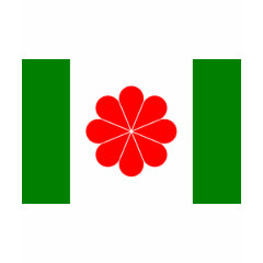 Taiwan Independence Flag