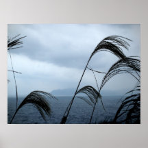 Taiwanese Coast Poster