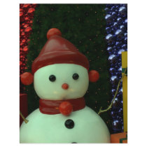 Taiwanese snowman full color flyer