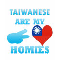 Taiwaneses are my Homies t-shirts