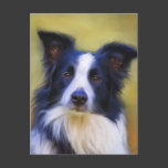 Taj - Border Collie Art Postcards