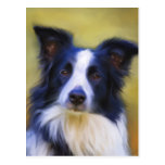 Taj - Border Collie Art Postcards