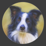 Taj - Border Collie Art Stickers