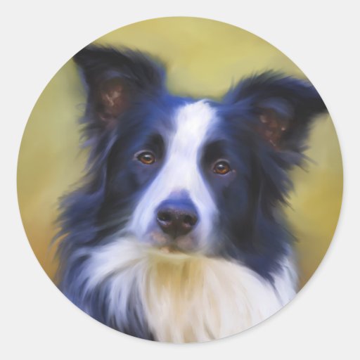 Taj - Border Collie Art Stickers