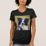Taj - Border Collie Art Tee Shirts