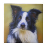 Taj - Border Collie Art Tile