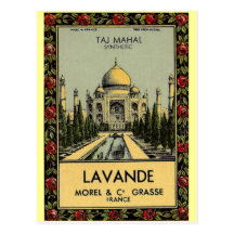 Taj Mahal Lavande Postcard