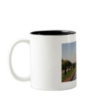 taj mahal water mugs