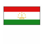 Tajikistan Flag Map Spaghetti Top