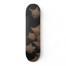 takashi yamauchi's skateboard 02102010