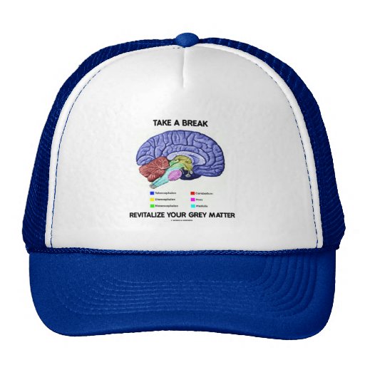 Take A Break Revitalize Your Grey Matter (Brain) Mesh Hats