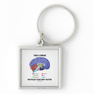 Take A Break Revitalize Your Grey Matter (Brain) zazzle_keychain