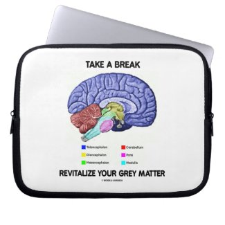 Take A Break Revitalize Your Grey Matter (Brain) fuji_electronicsbag