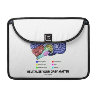 Take A Break Revitalize Your Grey Matter (Brain) rickshaw_flapsleeve