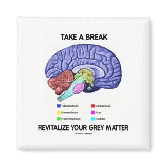 Take A Break Revitalize Your Grey Matter (Brain) zazzle_magnet