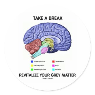 Take A Break Revitalize Your Grey Matter (Brain) zazzle_sticker