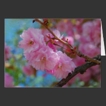 Take a deep breath pink cherry blossoms cards