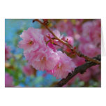 Take a deep breath pink cherry blossoms card
