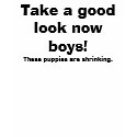 Take a good look now boys!, These puppies are s... t-shirts by waldtraud Take a good look now boys!, These puppies are s... t-shirts
