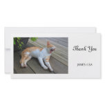 Take a nap photo card