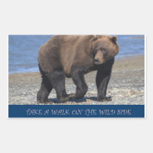 take a walk on the wild side alaska bear sticker