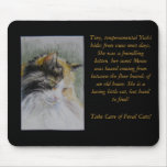Take Care of Feral Cats! Calico Yoshi Mouse Pads