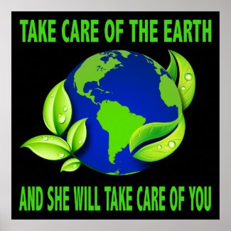 TAKE CARE OF THE EARTH POSTER print