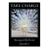 Take Charge posters