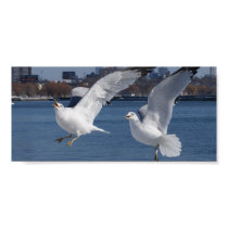 Take Flight posters